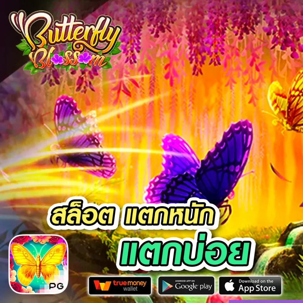 ฝาก-ถอน 678-b